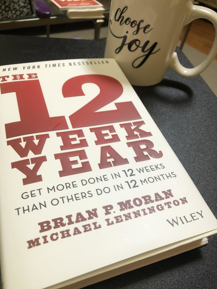 Photo of the book "The 12 Week Year"