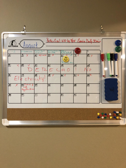 My mark-and-wipe calendar