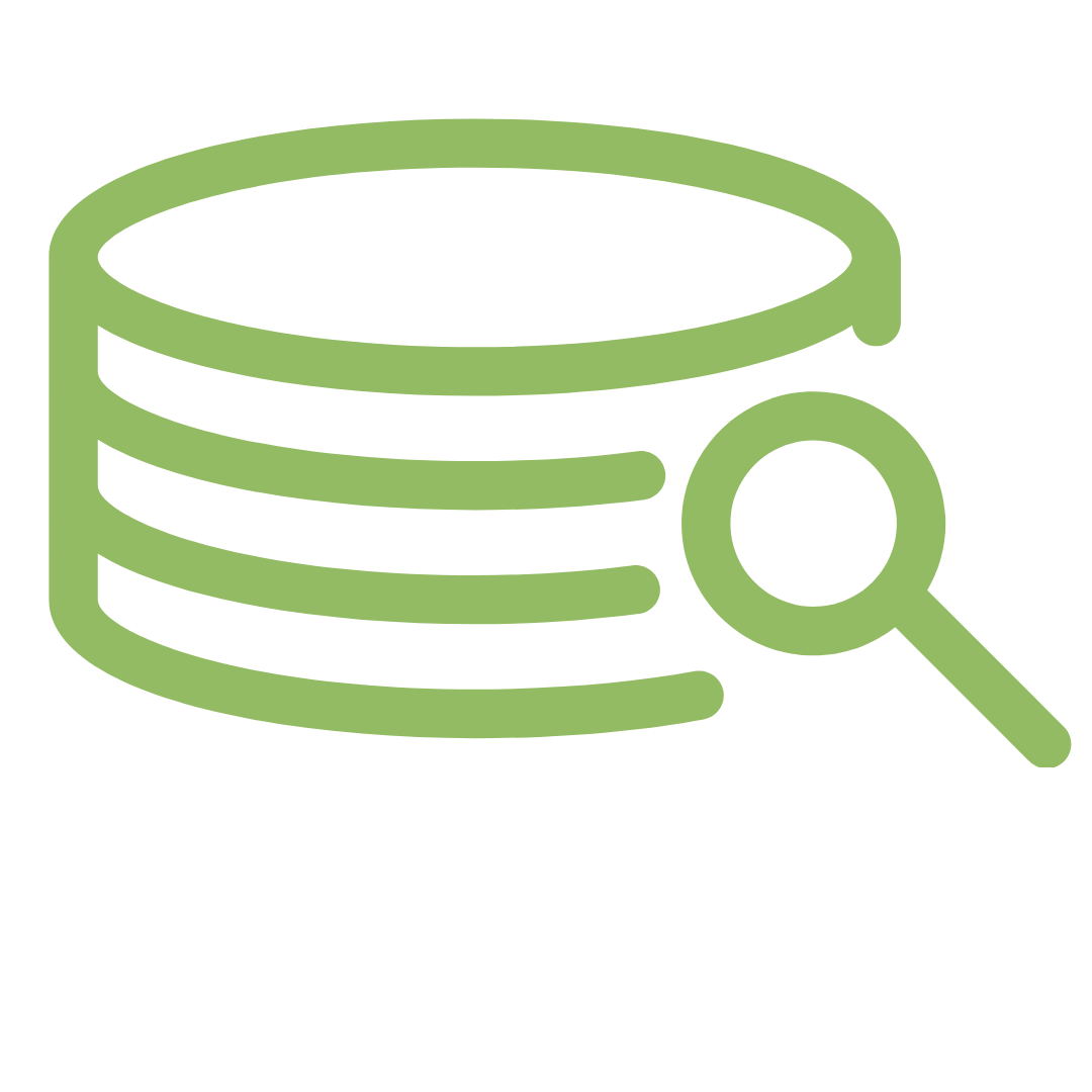search database icon